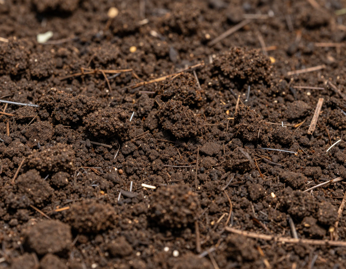 Rich garden soil enriched with compost
